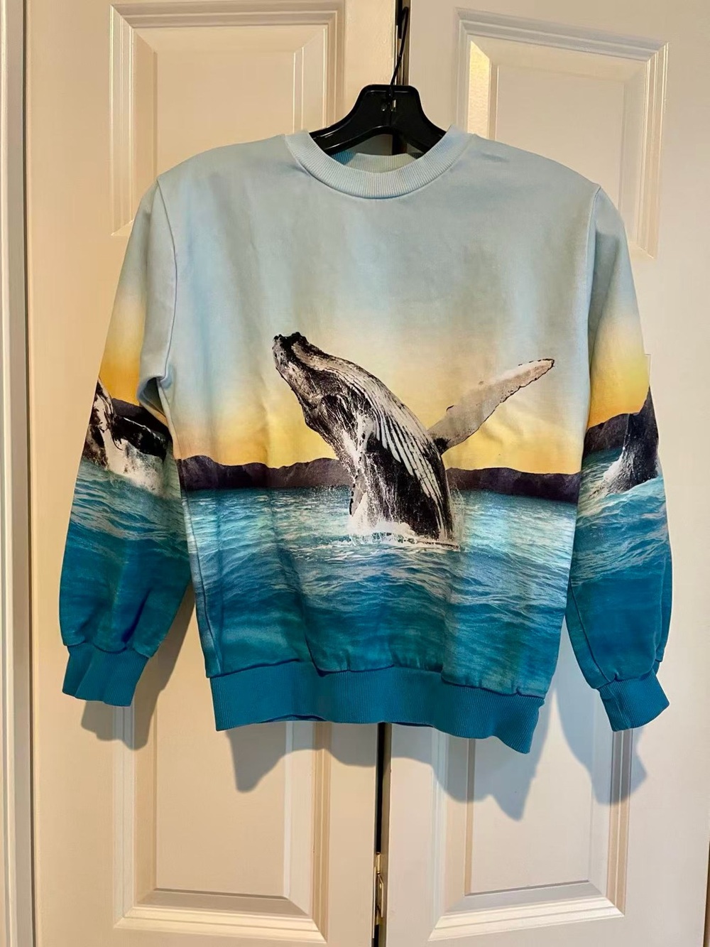 Molo Blue Whale Graphic Crewneck Sweater size 152cm